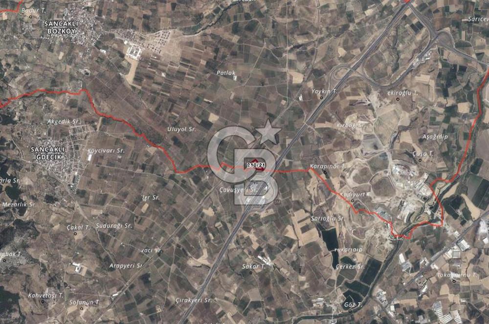 Satılık zeytinlik 2.877 m² Yol var