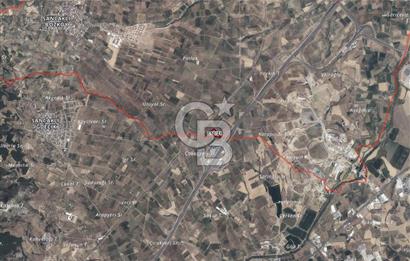 Satılık zeytinlik 2.877 m² Yol var