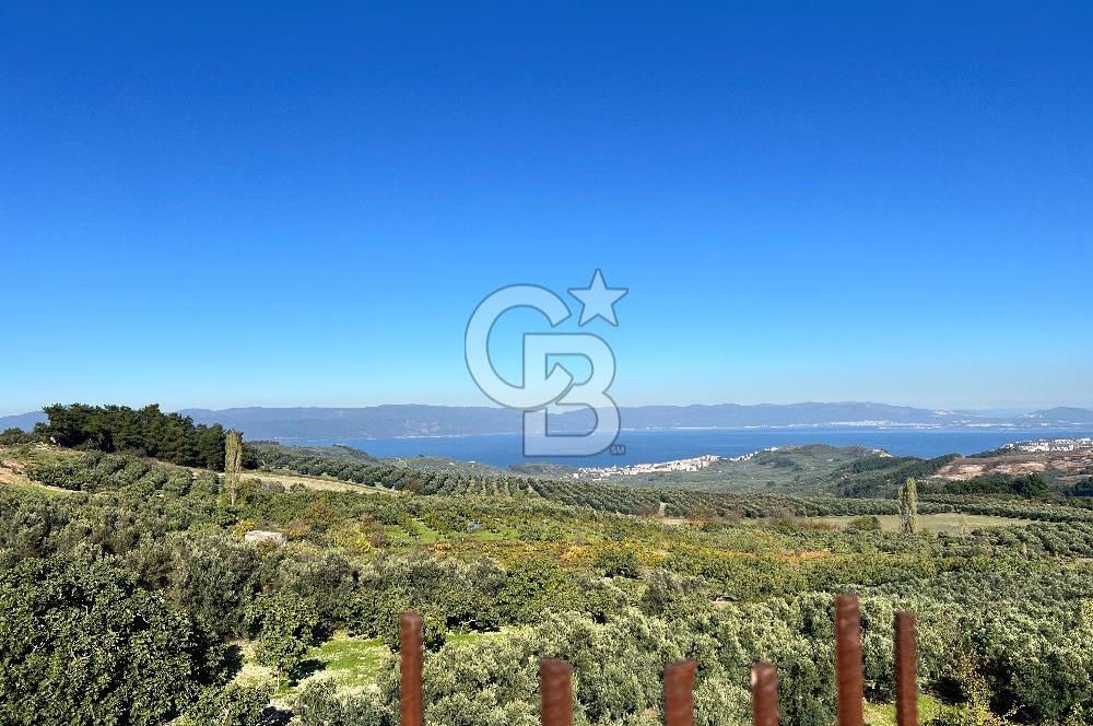 BURSA BADEMLİ ÇEPNİ'de 360 DERECE BURSA MANZARALI SATILIK ARAZİ