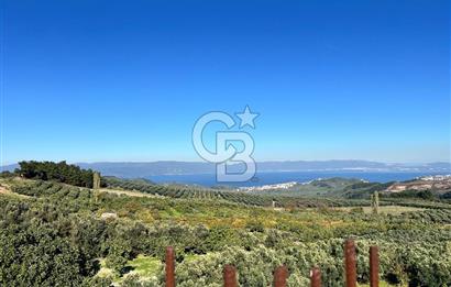 BURSA BADEMLİ ÇEPNİ'de 360 DERECE BURSA MANZARALI SATILIK ARAZİ