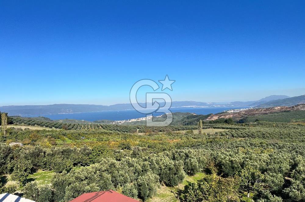 BURSA BADEMLİ ÇEPNİ'de 360 DERECE BURSA MANZARALI SATILIK ARAZİ