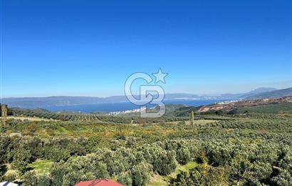 BURSA BADEMLİ ÇEPNİ'de 360 DERECE BURSA MANZARALI SATILIK ARAZİ