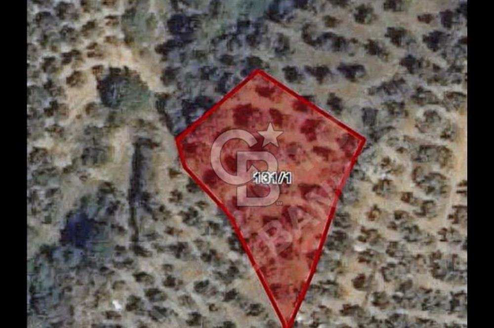 Doğayla İç İçe İznik Gölü Manzaralı Yatırımlık Tarla