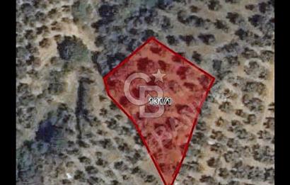 Doğayla İç İçe İznik Gölü Manzaralı Yatırımlık Tarla