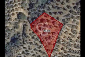 Doğayla İç İçe İznik Gölü Manzaralı Yatırımlık Tarla - 5 - 311388