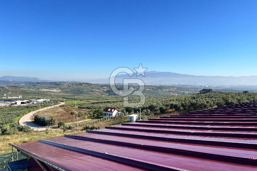 BURSA BADEMLİ ÇEPNİ'de 360 DERECE BURSA MANZARALI SATILIK ARAZİ