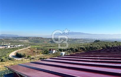 BURSA BADEMLİ ÇEPNİ'de 360 DERECE BURSA MANZARALI SATILIK ARAZİ