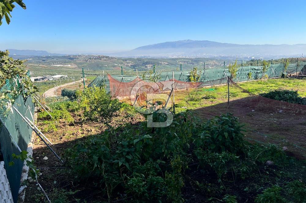 BURSA BADEMLİ ÇEPNİ'de 360 DERECE BURSA MANZARALI SATILIK ARAZİ