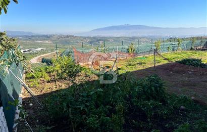 BURSA BADEMLİ ÇEPNİ'de 360 DERECE BURSA MANZARALI SATILIK ARAZİ