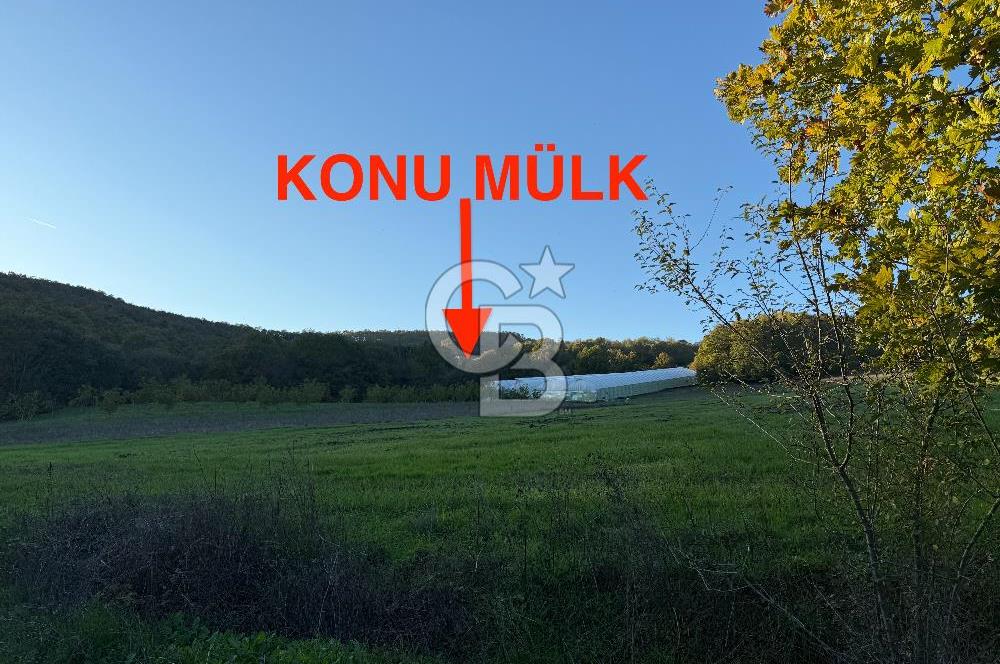 Kocaeli ili, İzmit ilçesi, Dağköy Mahallesi, E/KAKS:0,05 Diğer Tarım Alanı imarlı (Maks 250 m2 ev yapılabilir) satılık tarla