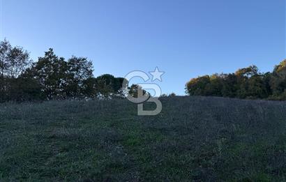 Kocaeli ili, İzmit ilçesi, Dağköy Mahallesi, E/KAKS:0,05 Diğer Tarım Alanı imarlı (Maks 250 m2 ev yapılabilir) satılık tarla