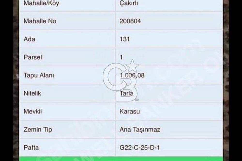 Doğayla İç İçe İznik Gölü Manzaralı Yatırımlık Tarla