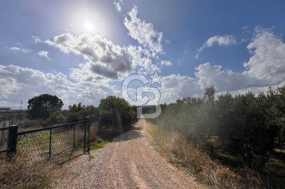 Menderes Bulgurca' da Satılık Yola Cepheli Tarla