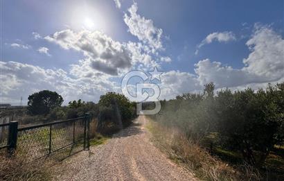 Menderes Bulgurca' da Satılık Yola Cepheli Tarla