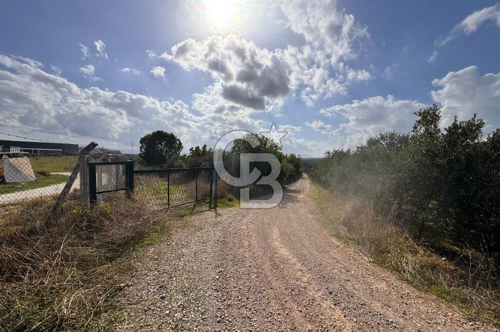 Menderes Bulgurca' da Satılık Yola Cepheli Tarla