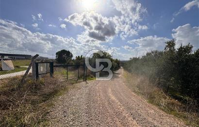 Menderes Bulgurca' da Satılık Yola Cepheli Tarla