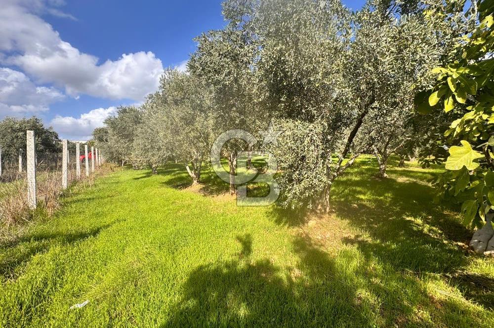 Menderes Bulgurca' da Satılık Yola Cepheli Tarla