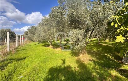 Menderes Bulgurca' da Satılık Yola Cepheli Tarla