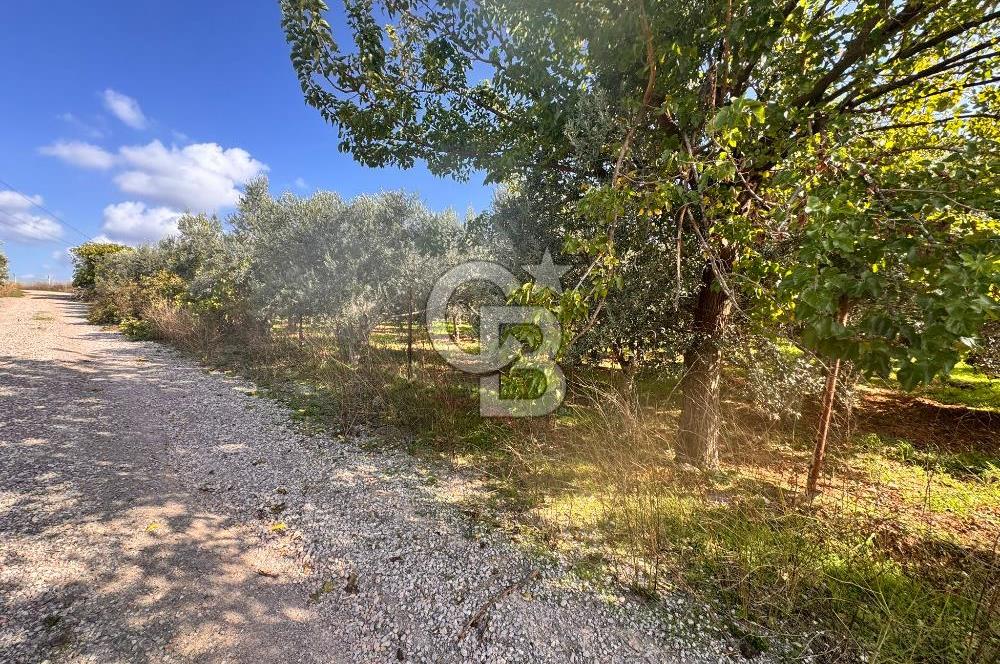 Menderes Bulgurca' da Satılık Yola Cepheli Tarla