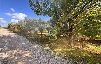 Menderes Bulgurca' da Satılık Yola Cepheli Tarla