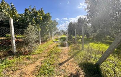 Menderes Bulgurca' da Satılık Yola Cepheli Tarla