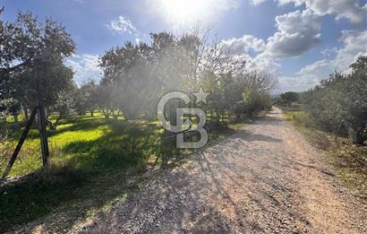 Menderes Bulgurca' da Satılık Yola Cepheli Tarla