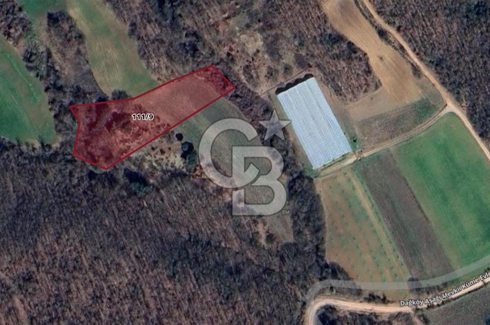 Kocaeli ili, İzmit ilçesi, Dağköy Mahallesi, E/KAKS:0,05 Diğer Tarım Alanı imarlı (Maks 250 m2 ev yapılabilir) satılık tarla