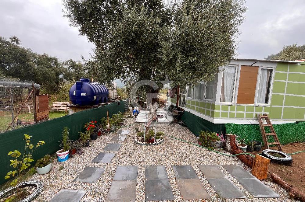 CB YALI'DAN TORBALIDA PREFABRİK EVE SAHİP HOBİ BAHÇESİ