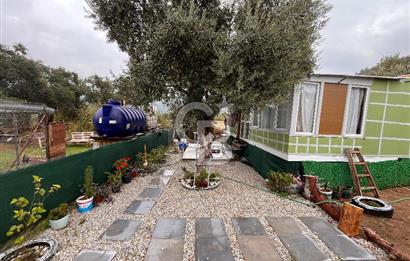 CB YALI'DAN TORBALIDA PREFABRİK EVE SAHİP HOBİ BAHÇESİ