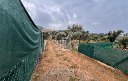 CB YALI'DAN TORBALIDA PREFABRİK EVE SAHİP HOBİ BAHÇESİ