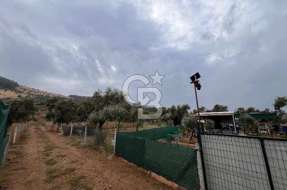 CB YALI'DAN TORBALIDA PREFABRİK EVE SAHİP HOBİ BAHÇESİ