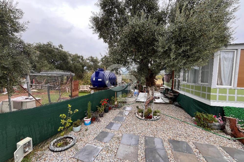 CB YALI'DAN TORBALIDA PREFABRİK EVE SAHİP HOBİ BAHÇESİ