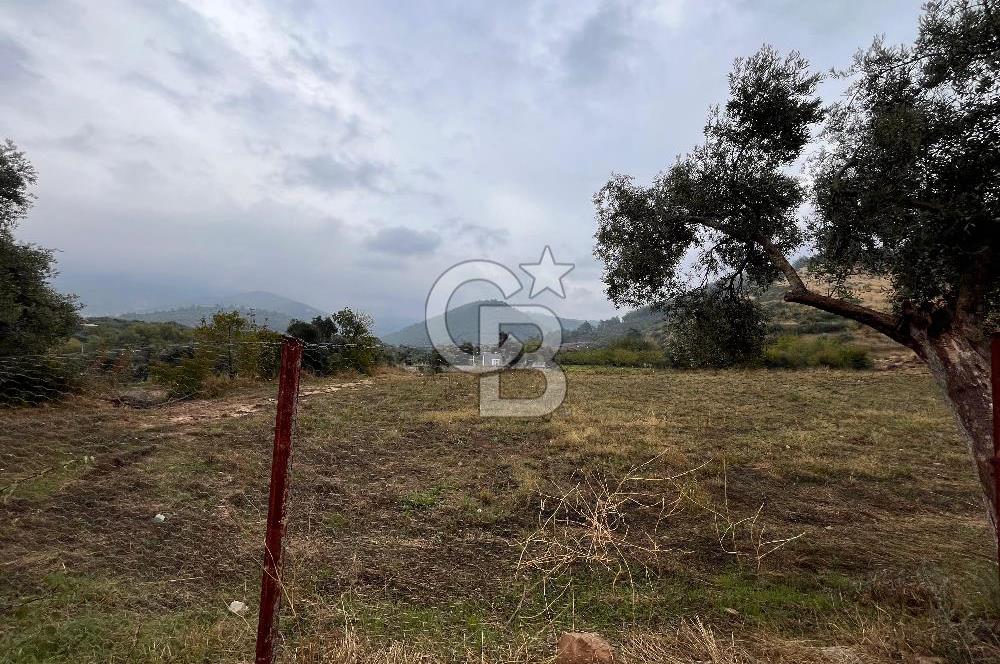 CB YALI'DAN TORBALIDA PREFABRİK EVE SAHİP HOBİ BAHÇESİ