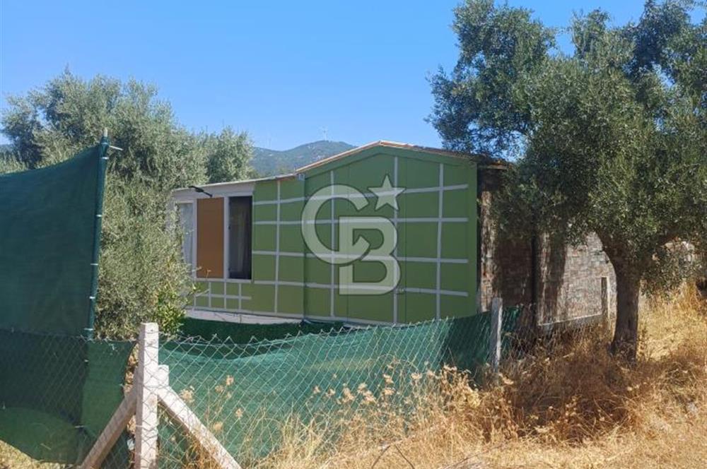 CB YALI'DAN TORBALIDA PREFABRİK EVE SAHİP HOBİ BAHÇESİ