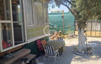 CB YALI'DAN TORBALIDA PREFABRİK EVE SAHİP HOBİ BAHÇESİ