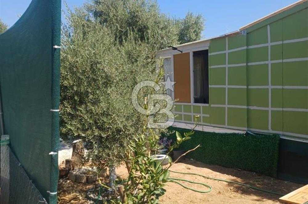 CB YALI'DAN TORBALIDA PREFABRİK EVE SAHİP HOBİ BAHÇESİ