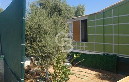 CB YALI'DAN TORBALIDA PREFABRİK EVE SAHİP HOBİ BAHÇESİ