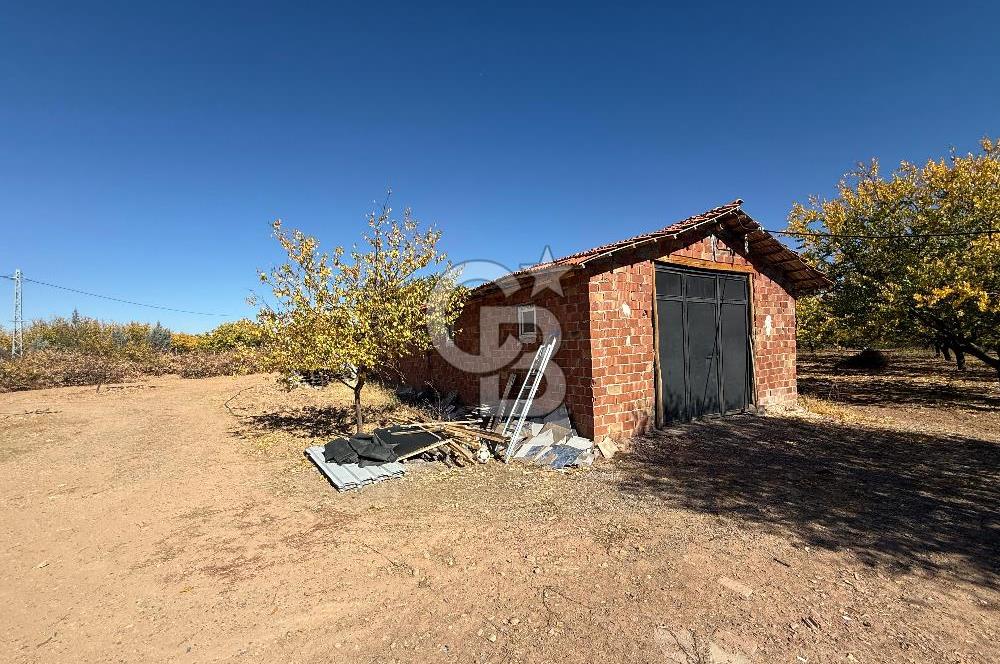 COLDWELL BANKER SAFİR'den HAVAALANI YOLUNA KOMŞU SATILIK BAHÇE