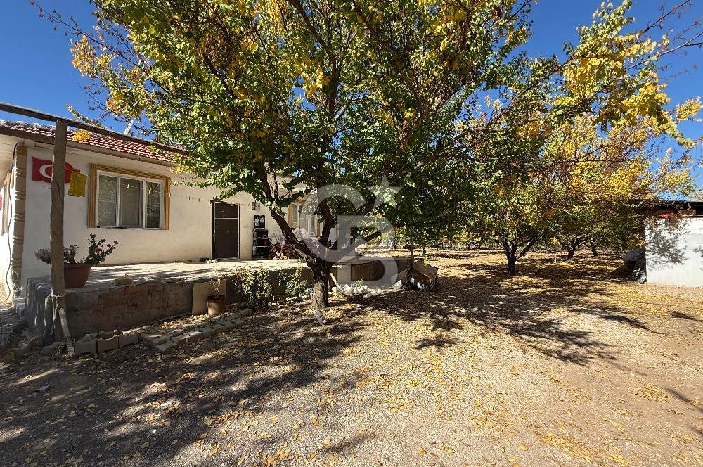 COLDWELL BANKER SAFİR'den HAVAALANI YOLUNA KOMŞU SATILIK BAHÇE