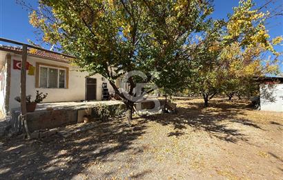 COLDWELL BANKER SAFİR'den HAVAALANI YOLUNA KOMŞU SATILIK BAHÇE