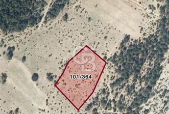 Gökler Köyünde 8.887 m² Doğa İçinde Elektrik ve Suya Yakın Tarla - 8 - 311383