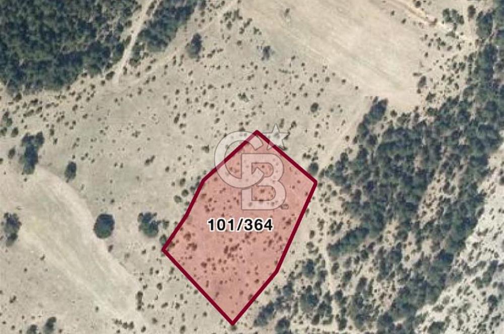 Gökler Köyünde 8.887 m² Doğa İçinde Elektrik ve Suya Yakın Tarla