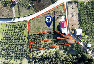 BURSA BADEMLİ ÇEPNİ'de 360 DERECE BURSA MANZARALI SATILIK ARAZİ - 1 - 311390