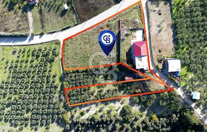 BURSA BADEMLİ ÇEPNİ'de 360 DERECE BURSA MANZARALI SATILIK ARAZİ