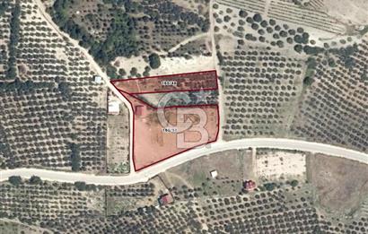 BURSA BADEMLİ ÇEPNİ'de 360 DERECE BURSA MANZARALI SATILIK ARAZİ