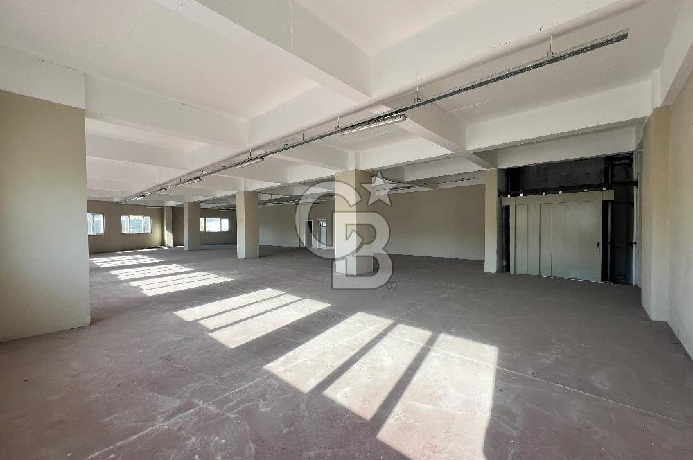 BURSA, GEMLİK SERBEST BÖLGE'de SATILIK FABRİKA, ÜRETİM TESİSİ