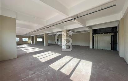 BURSA, GEMLİK SERBEST BÖLGE'de SATILIK FABRİKA, ÜRETİM TESİSİ