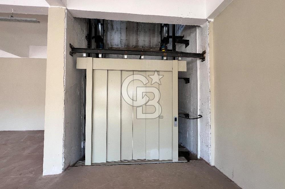 BURSA, GEMLİK SERBEST BÖLGE'de SATILIK FABRİKA, ÜRETİM TESİSİ