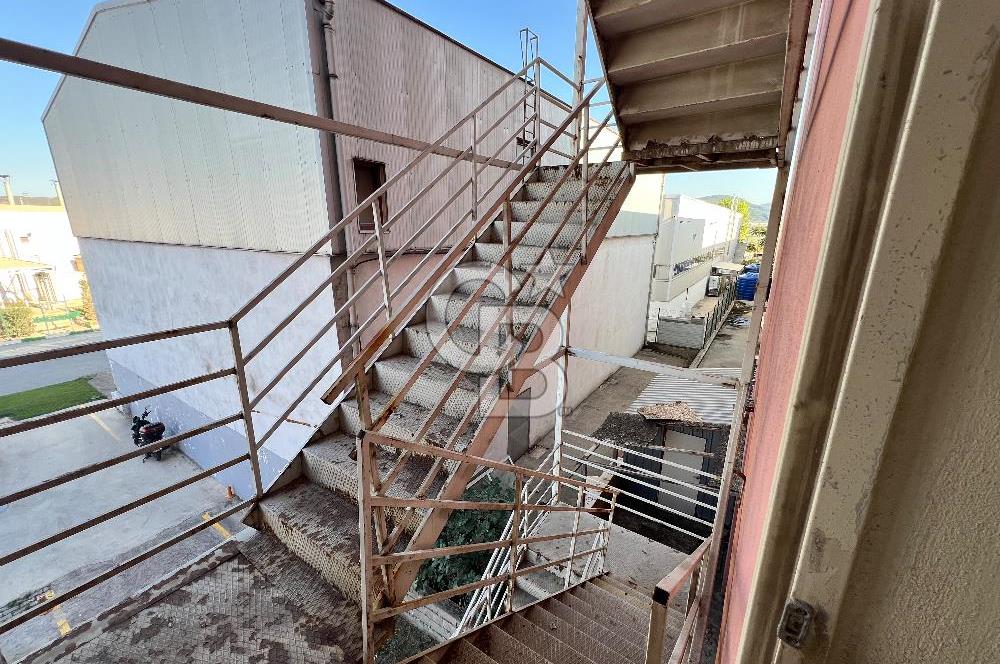 BURSA, GEMLİK SERBEST BÖLGE'de SATILIK FABRİKA, ÜRETİM TESİSİ