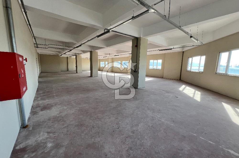 BURSA, GEMLİK SERBEST BÖLGE'de SATILIK FABRİKA, ÜRETİM TESİSİ